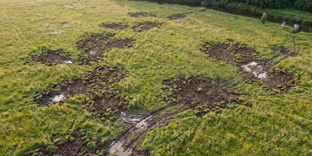 Wiesenschäden treten vor allem im Herbst auf